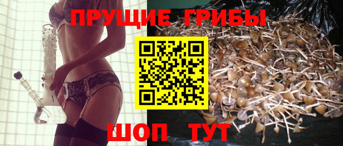 Радужный  Псилоцибиновые грибы Cubensis  Вход с VPN 